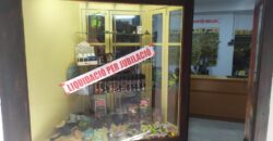 TRASPASO NEGOCIO r.80020003