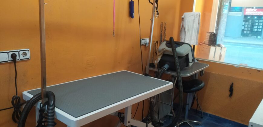 TRASPASO TIENDA r.80020012