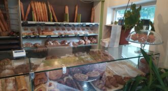 TRASPASO PANADERIA r.80020015