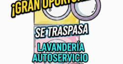 TRASPASO LAVANDERIA r.20021154
