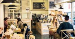 TRASPASO CAFETERIA r.70020004