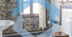 TRASPASO NEGOCIO + VIVIENDA r.90020010