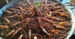 TRASPASO ROSTISSERIA r.20021163