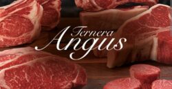 TRASPASO CARNICERIA r.20021170