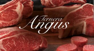 TRASPASO CARNICERIA r.20021170