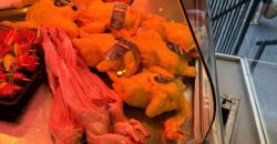 TRASPASO CARNICERIA r.170017